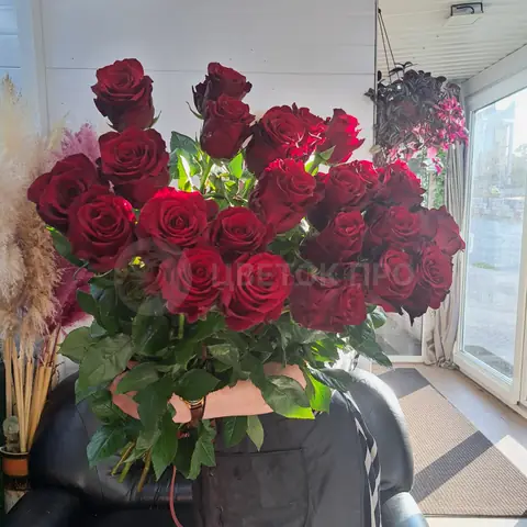 Роза красная